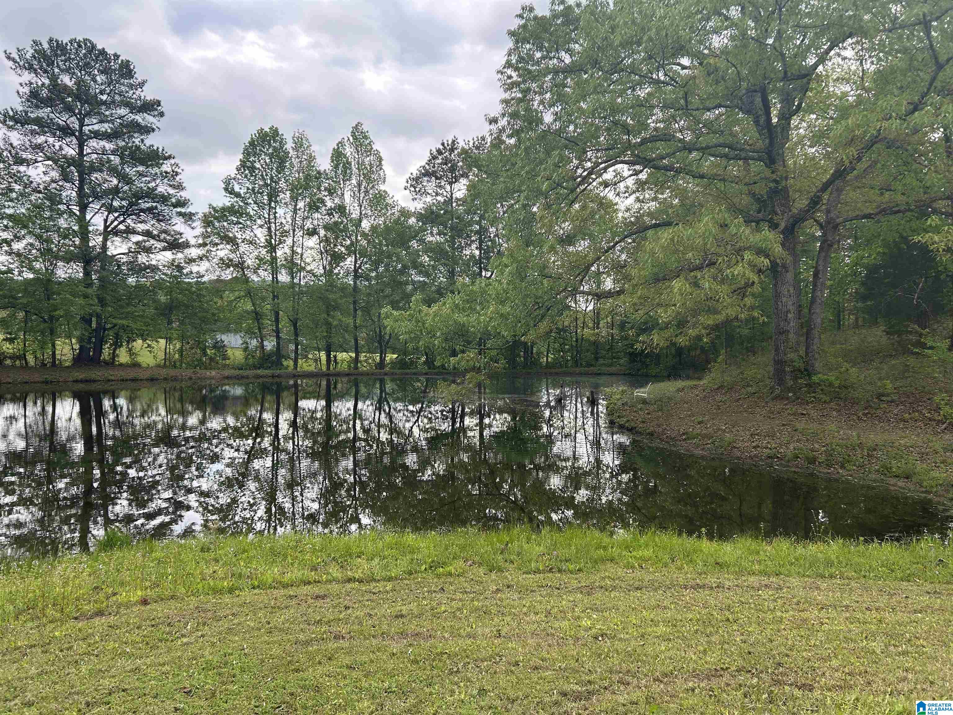 625 Dee Hendrix Road, Unit 6 9 ACRES Bessemer, AL 35023 - Photo 1 of 14