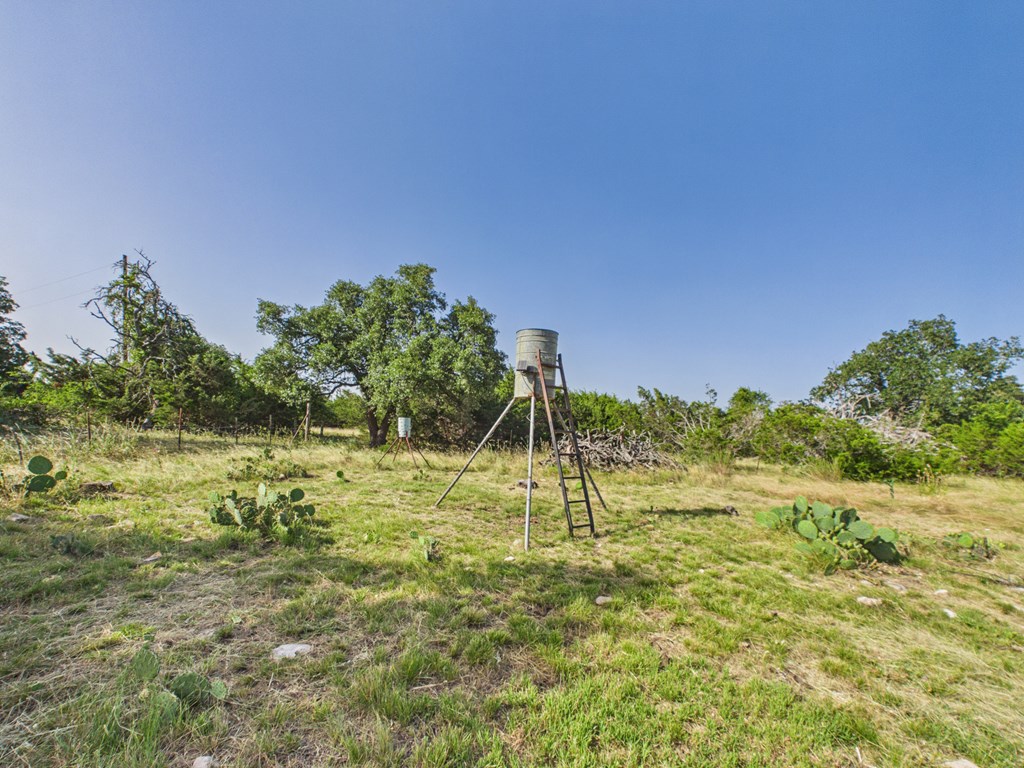 1983 Wendel-Ahrens Road Fredericksburg, TX 78624 - Photo 5 of 36