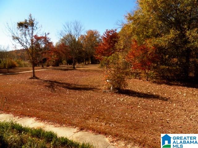 3952 Curry Station Road Munford, AL 36268 - Photo 45 of 49