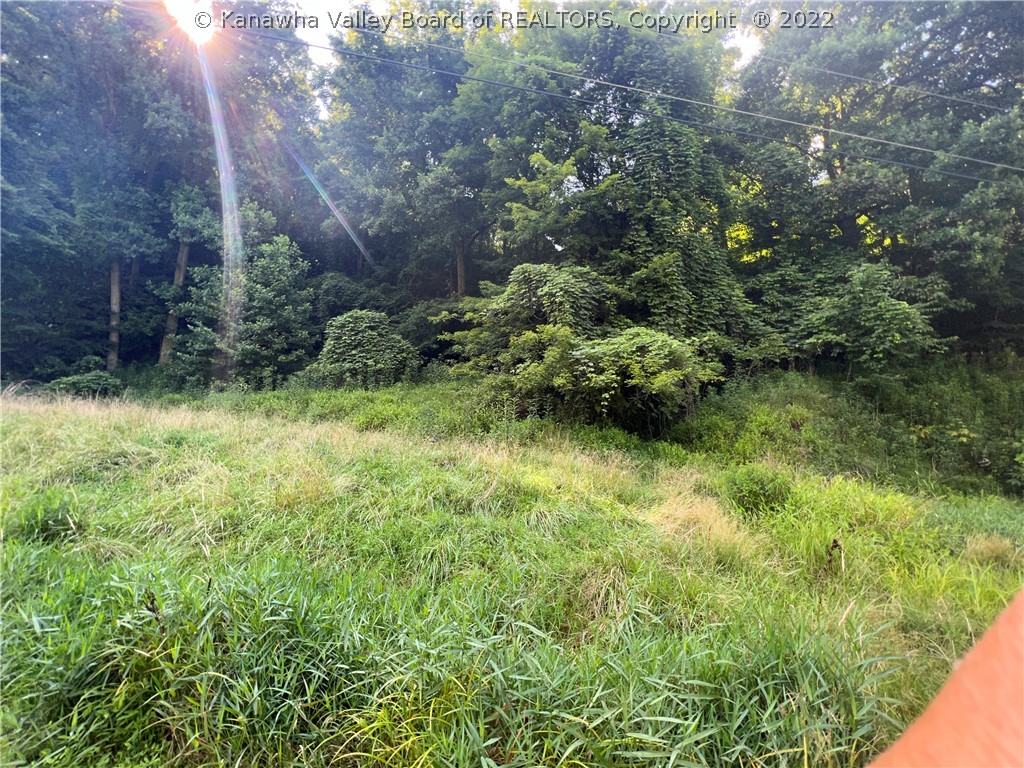 0 Ball Fork Road Danville, WV 25053 - Photo 7 of 11 Gallery Image 7