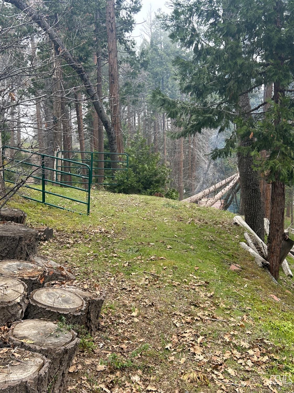 Undisclosed Address Posey, CA 93260 - Photo 18 of 20 a view of a yard with a tree
