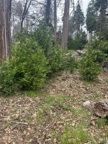 $170,000 | Undisclosed Address, Posey, CA 93260