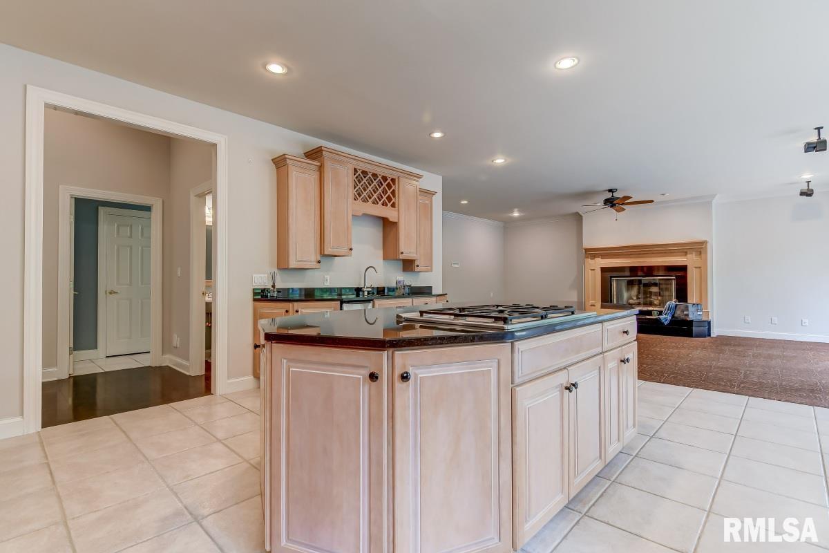 1230 Churchill Road Springfield, IL 62702 - Photo 13 of 50 Gallery Image 13