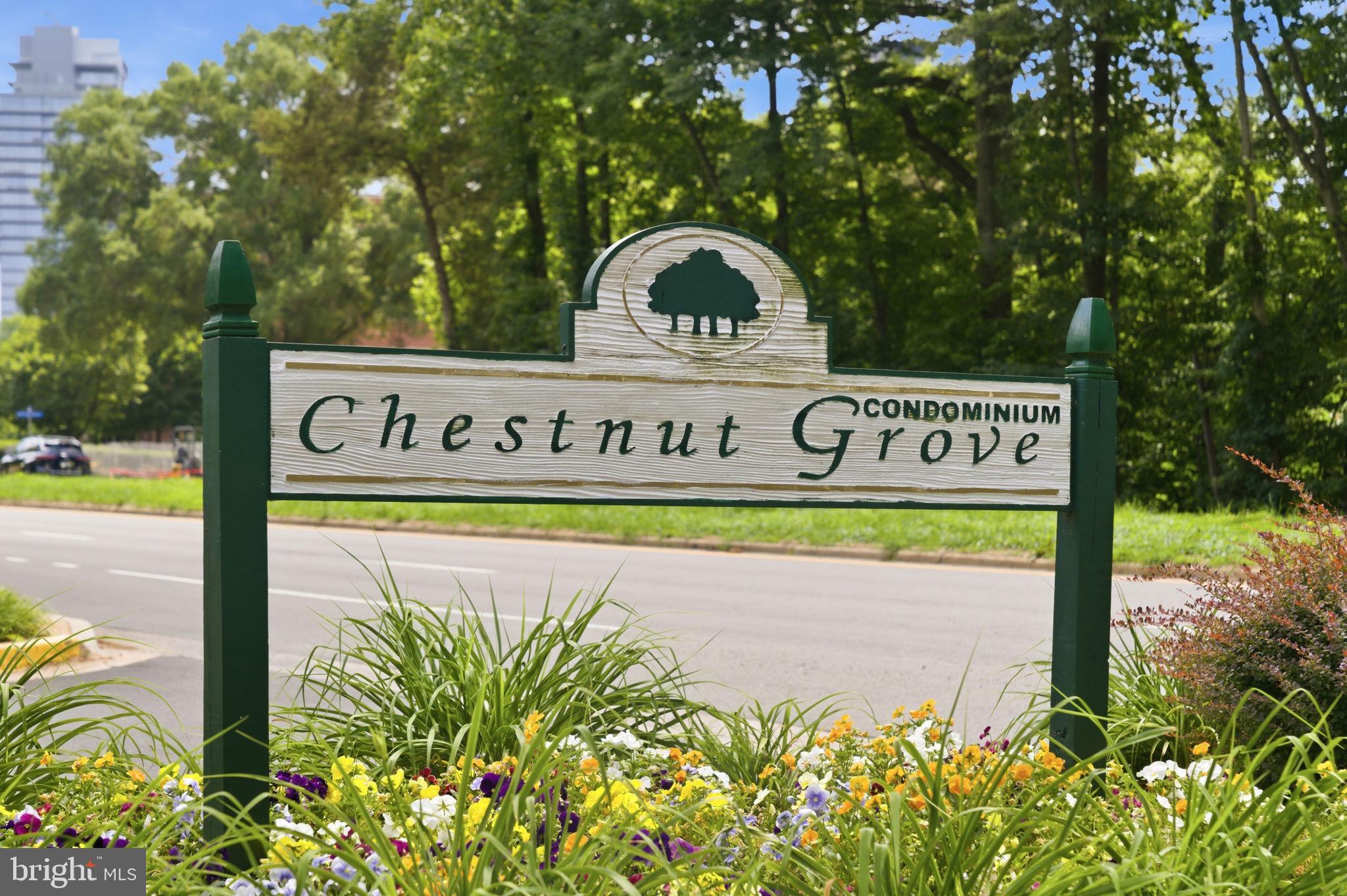 11260 Chestnut Grove Square, Unit 337 Reston, VA 20190 - Photo 65 of 82 Welcome to Chestnut Grove Condos
