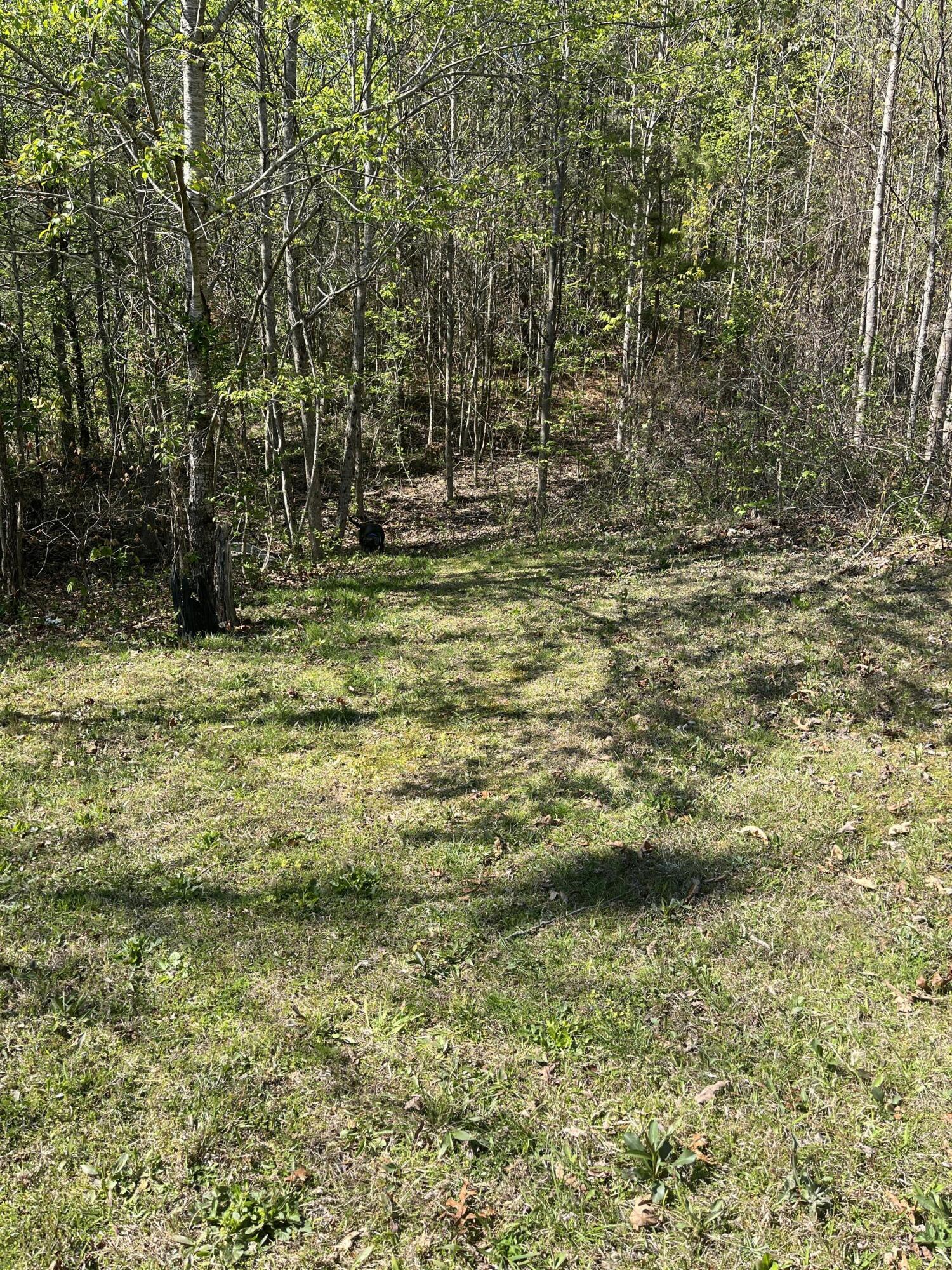 281 Ben Childs Road LaFayette, GA 30728 - Photo 21 of 27 IMG_1243