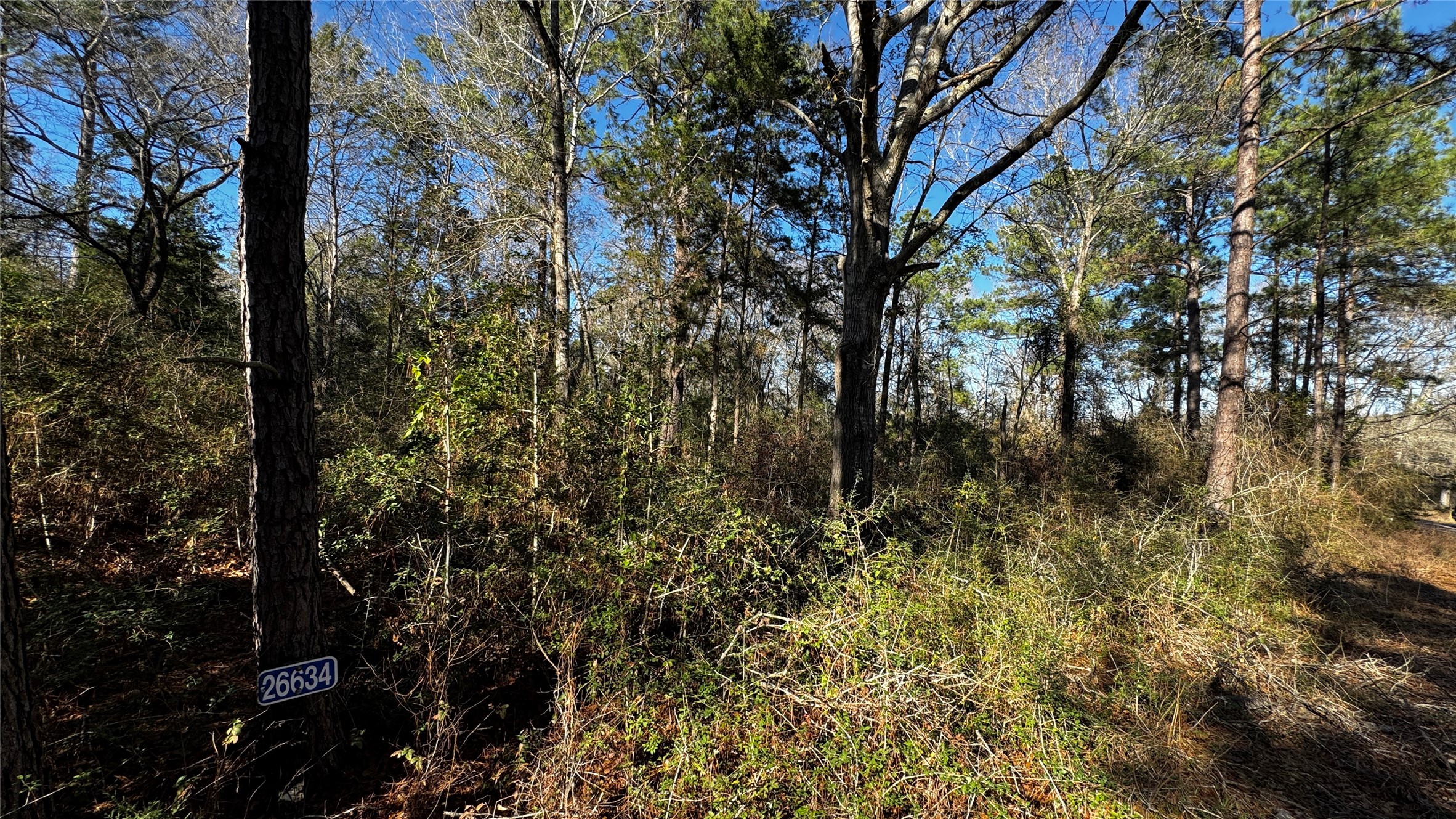 Tbd Buck Lane Hempstead, TX 77445 - Photo 6 of 9 Beautiful 1/3+ Acre Corner Lot with mature trees and sloping landscape, 2 road front access, surrounded by beautiful custom homes