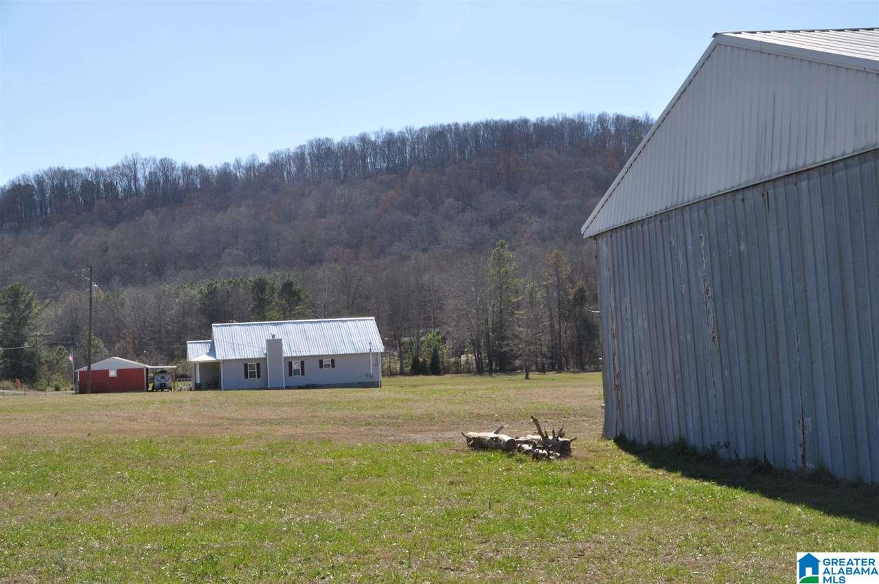 3787 Highway 11 Hayden Al Springville, AL 35146 - Photo 8 of 39