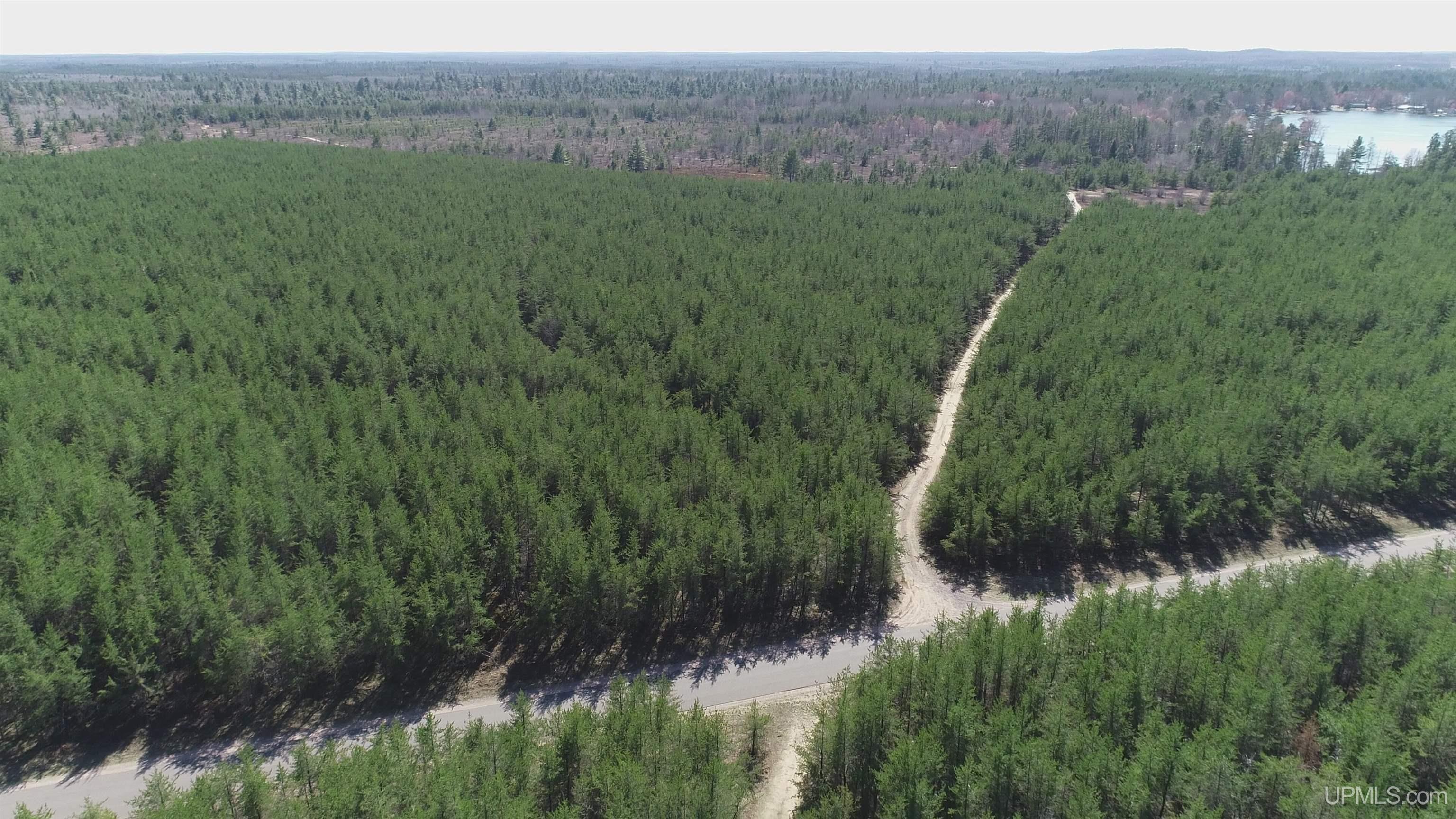 1 Rice Lake Road Gwinn, MI 49841 - Photo 2 of 25