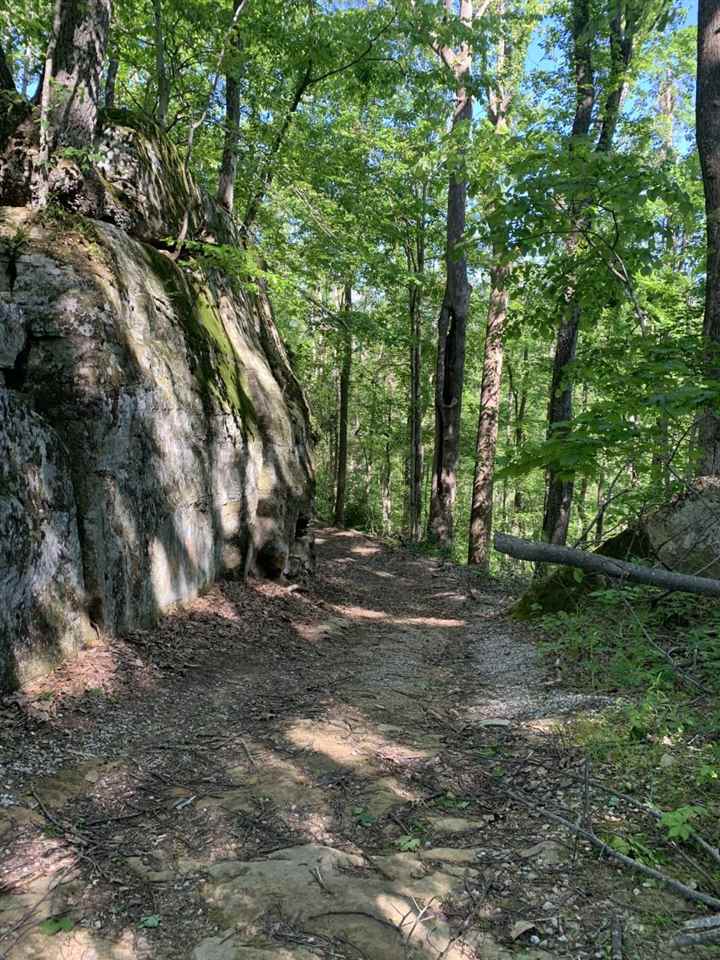 65-acres Napier Ridge Road Genoa, WV 25517 - Photo 3 of 4 Gallery Image 3