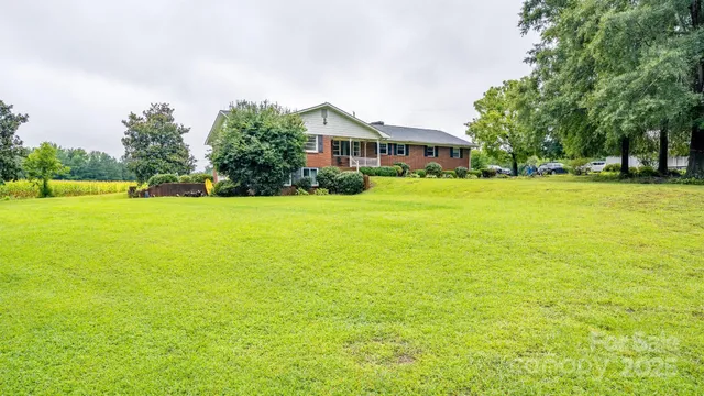 a view of a yard with a bench