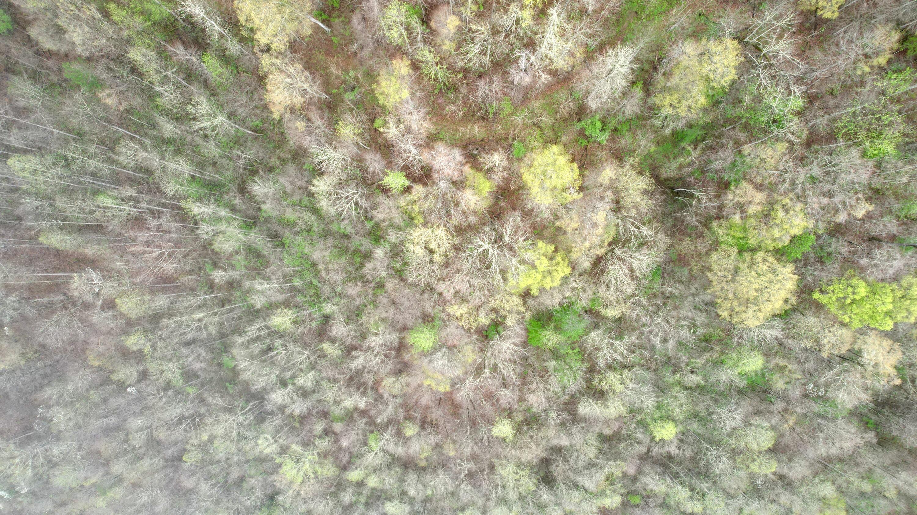 20250407103725_IMG_1672