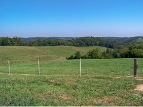 355 Gregg Mill Road Greeneville, TN 37743 - Photo 1 of 1 Photo 1