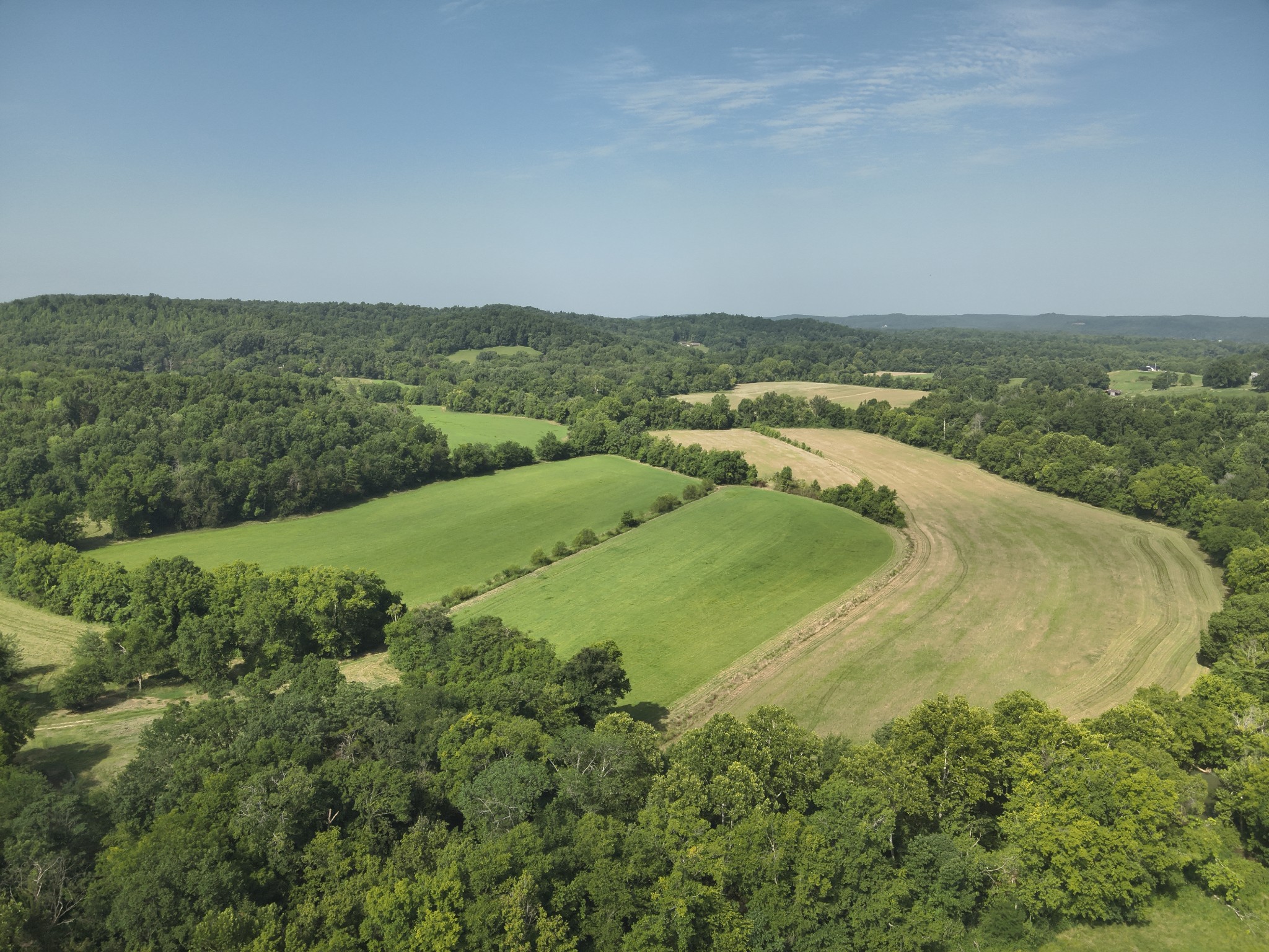 0 Culps Bend Road Clifton, TN 38425 - Photo 10 of 41