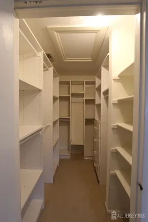 a view of walk in closet with empty racks