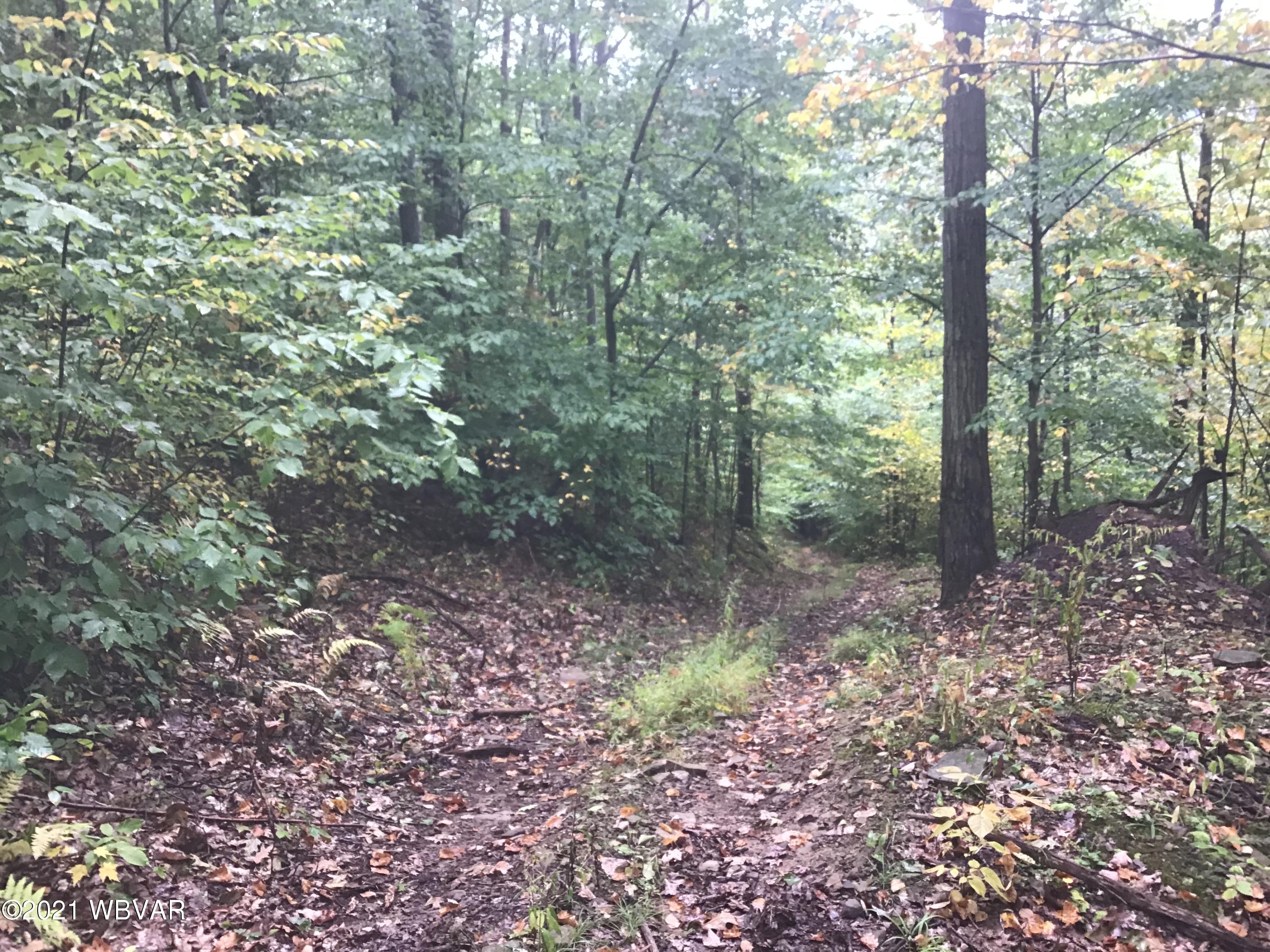 Canada Hollow Road Shinglehouse, PA 16748 - Photo 13 of 22 Gallery Image 13