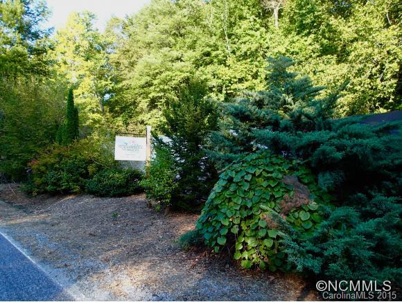 2055 Polly Spout Road Marion, NC 28752 - Photo 3 of 22 Gallery Image 3