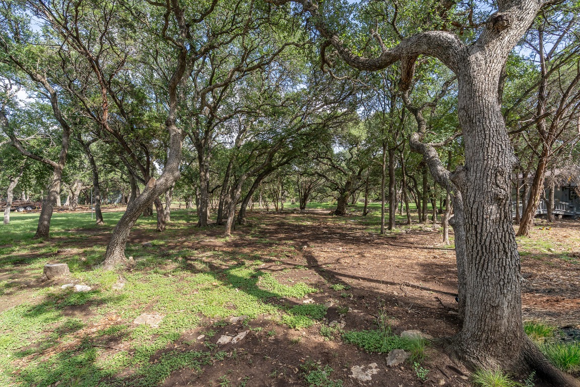444 Logan Ranch Road Georgetown, TX 78628 - Photo 28 of 36 a view of backyard with tree