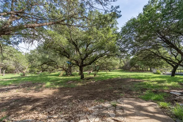 a view of a big yard with plants and large trees