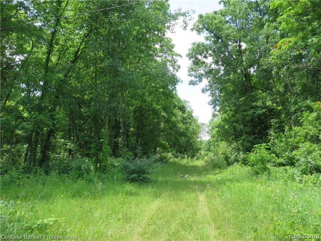 0 South Morrice Road Morrice, MI 48857 - Photo 1 of 7