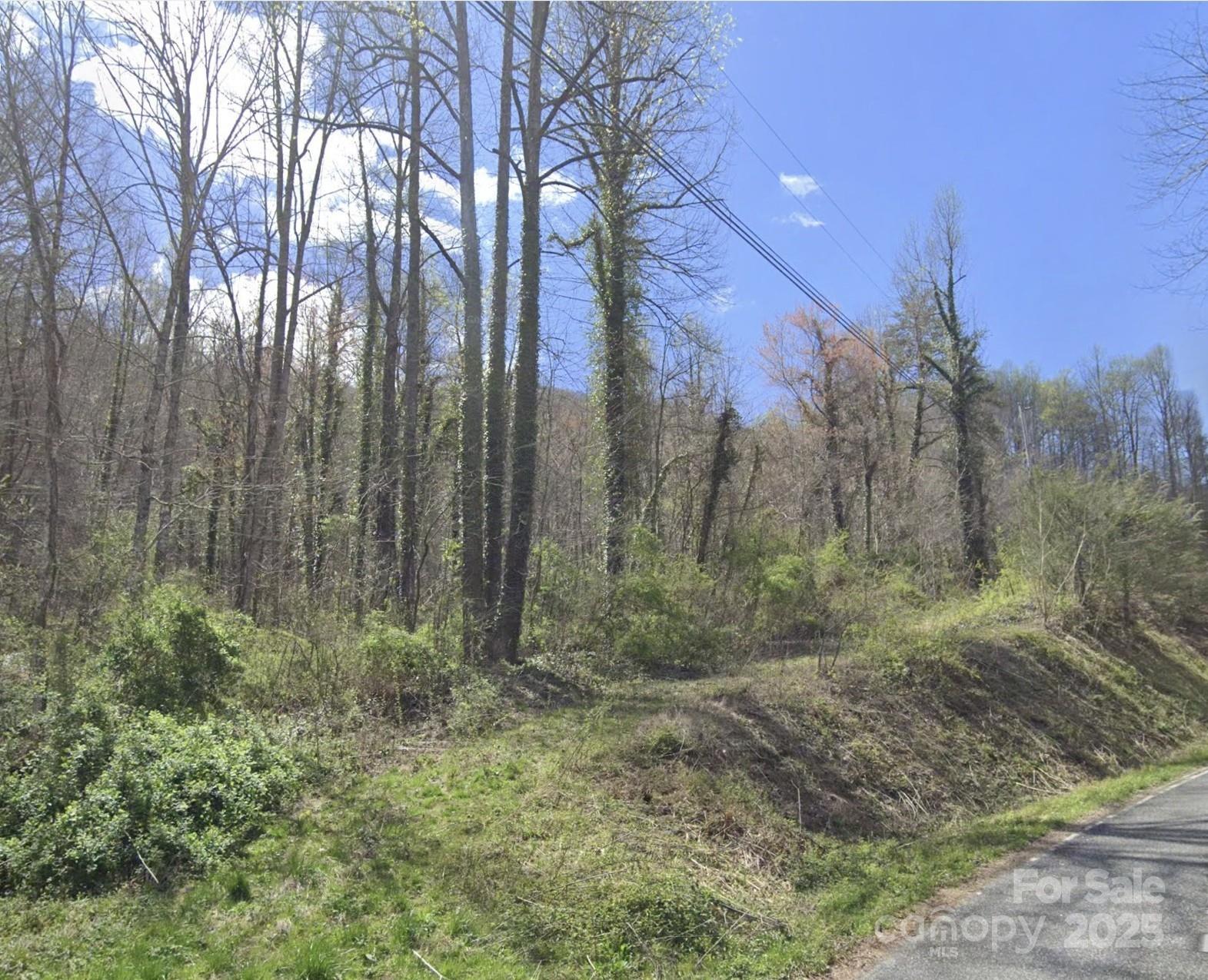 1391 Macktown Road Sylva, NC 28779 - Photo 1 of 3 Gallery Image 1
