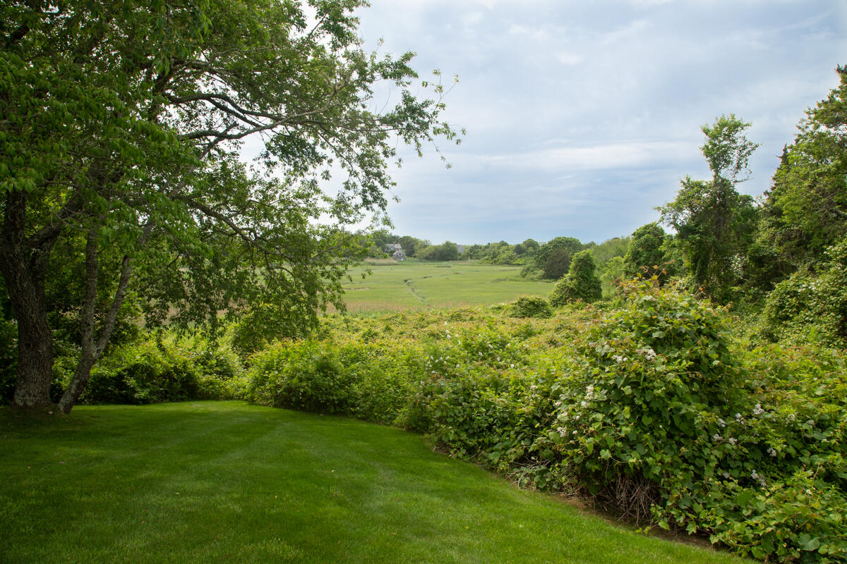 205 Stoney Point Road Cummaquid, MA 02675 - Photo 3 of 24 a view of a big yard with large trees