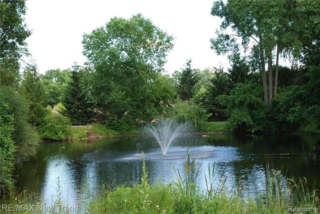 22005 River Ridge Trail, Unit 37 Farmington Hills, MI 48335 - Photo 4 of 18