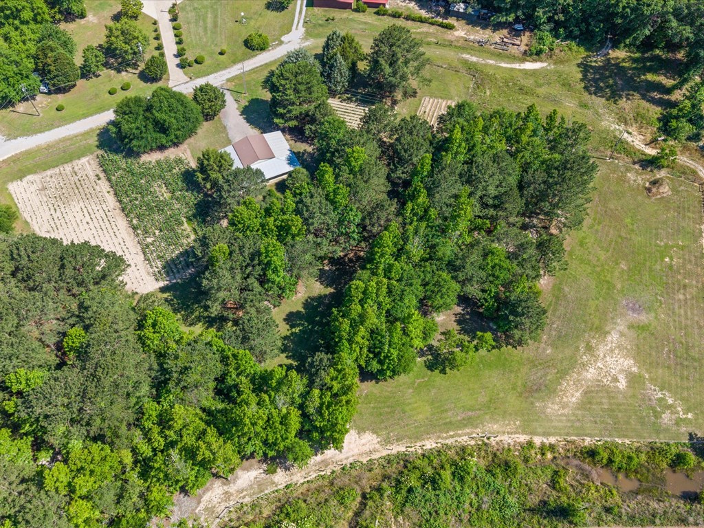 32724 Bozeman Road Dozier, AL 36028 - Photo 58 of 59