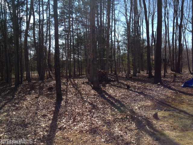 5015 Forbush Road East Bend, NC 27018 - Photo 13 of 13 Land.