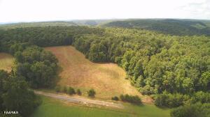 2 Four Mile Creek Road Deer Lodge, TN 37726 - Photo 8 of 13 20230731183352600416000000