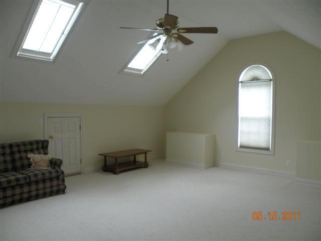 1007 Lorilei Lane Springfield, TN 37172 - Photo 16 of 16 Bonus Room showing Skylights
