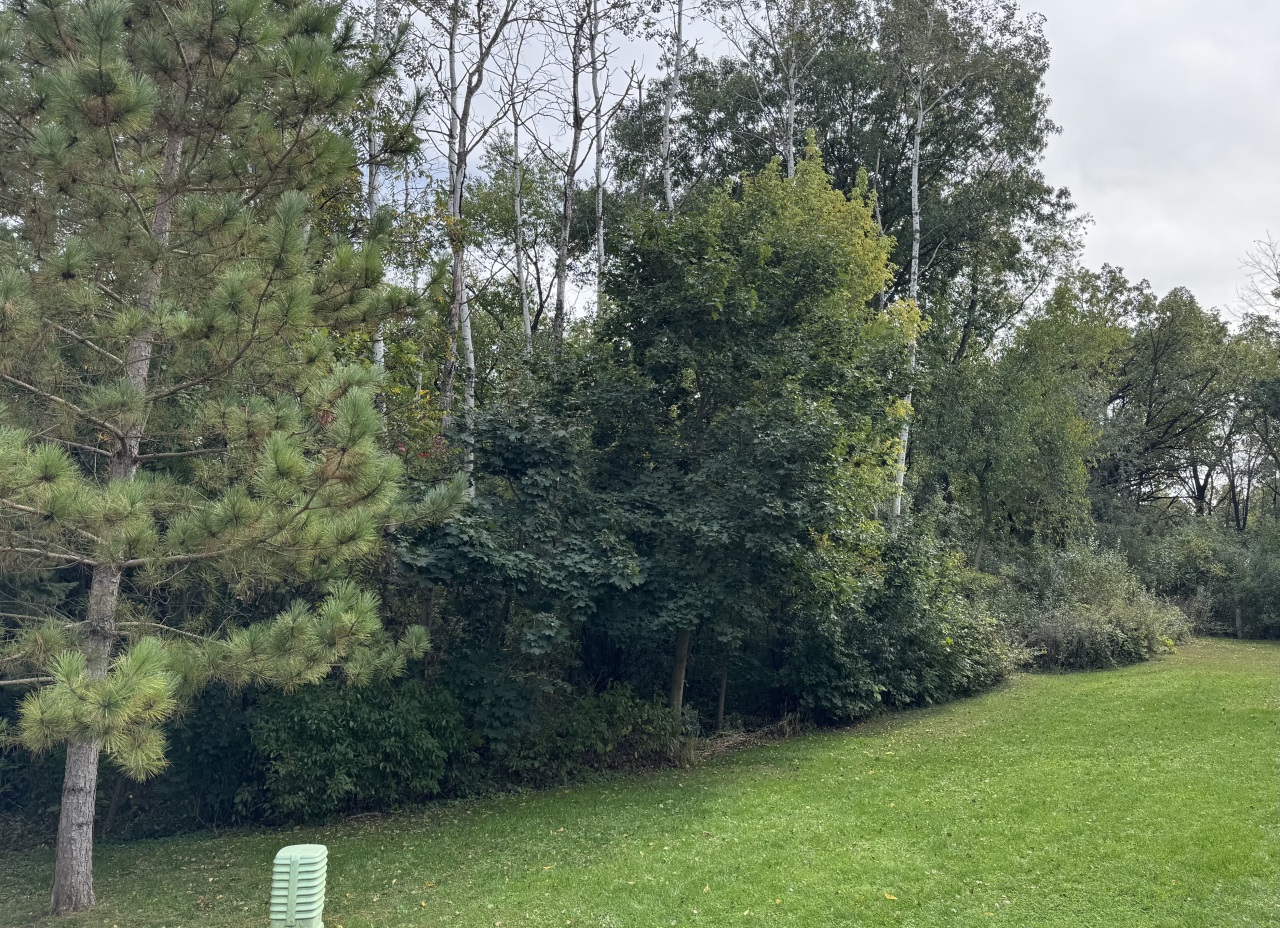 Lt9 Stacey Lane Whitewater, WI 53190 - Photo 1 of 2 Front Lot Cul Du Sac