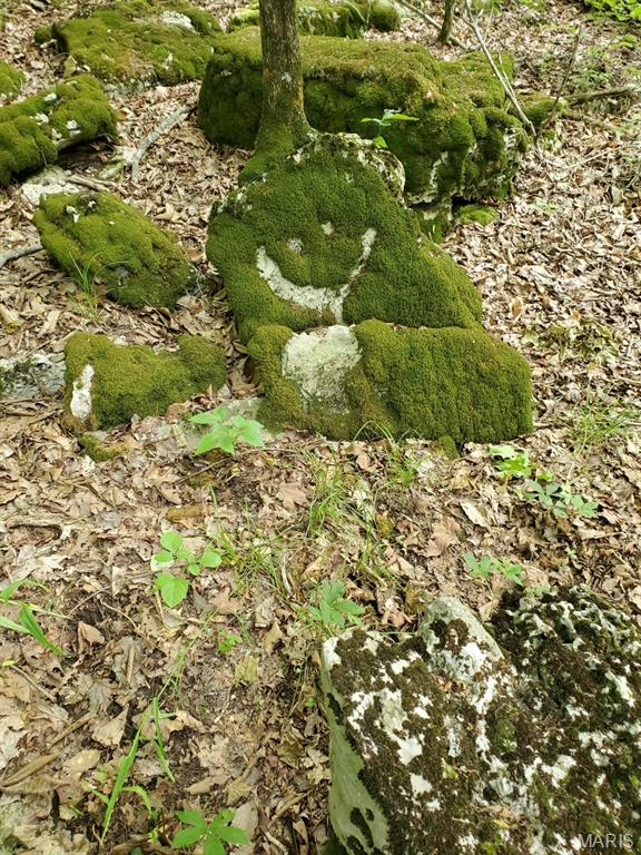 6969 Twin River Road Eureka, MO 63025 - Photo 7 of 8