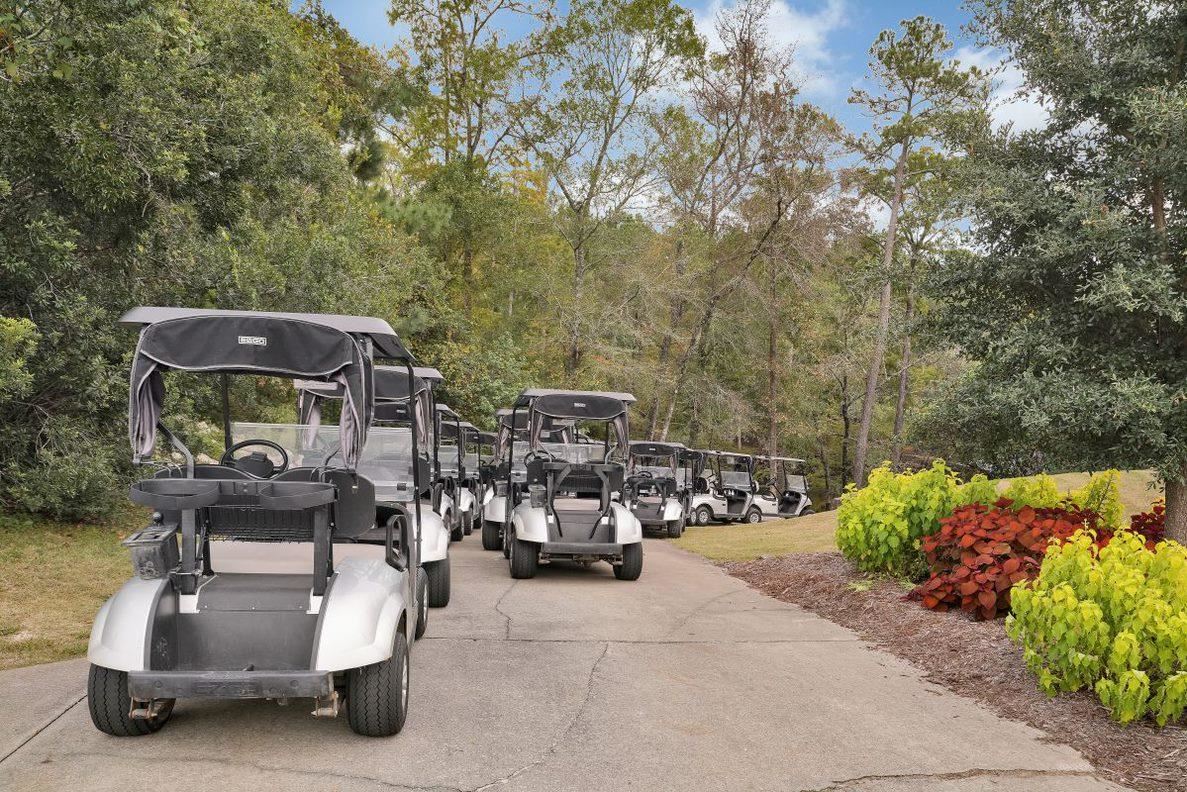 1034 Cherrystone Loop Conway, SC 29526 - Photo 34 of 39