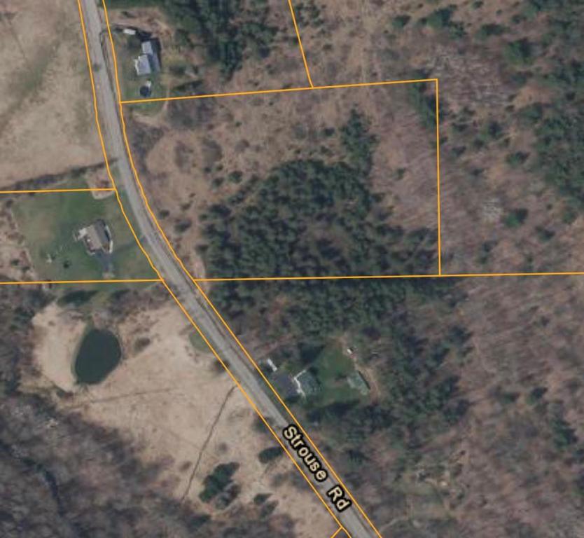 0 Strouse Road Pine City, NY 14871 - Photo 1 of 1 Gallery Image 1