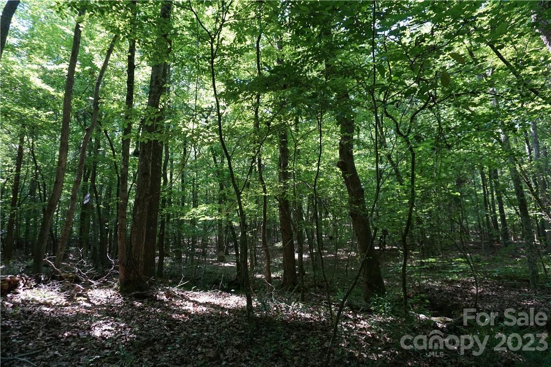20-ac 20-ac Shillinglaw Road Sharon, SC 29742 - Photo 15 of 28 a view of forest