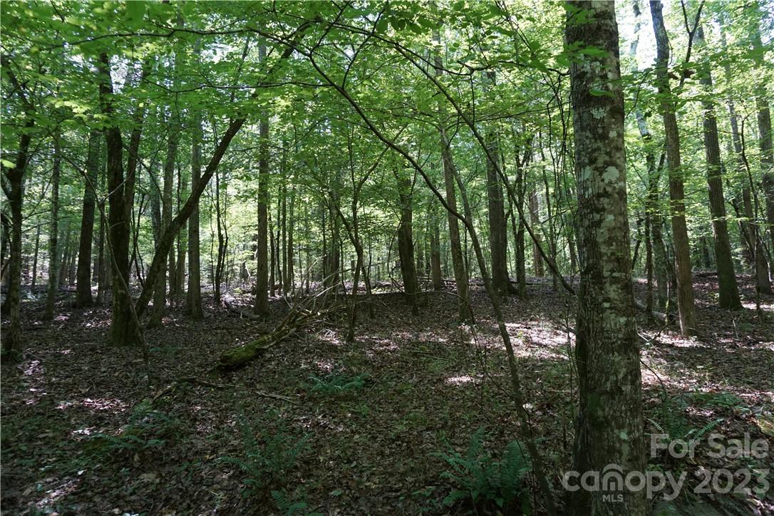 20-ac 20-ac Shillinglaw Road Sharon, SC 29742 - Photo 22 of 28 a view of outdoor space and trees