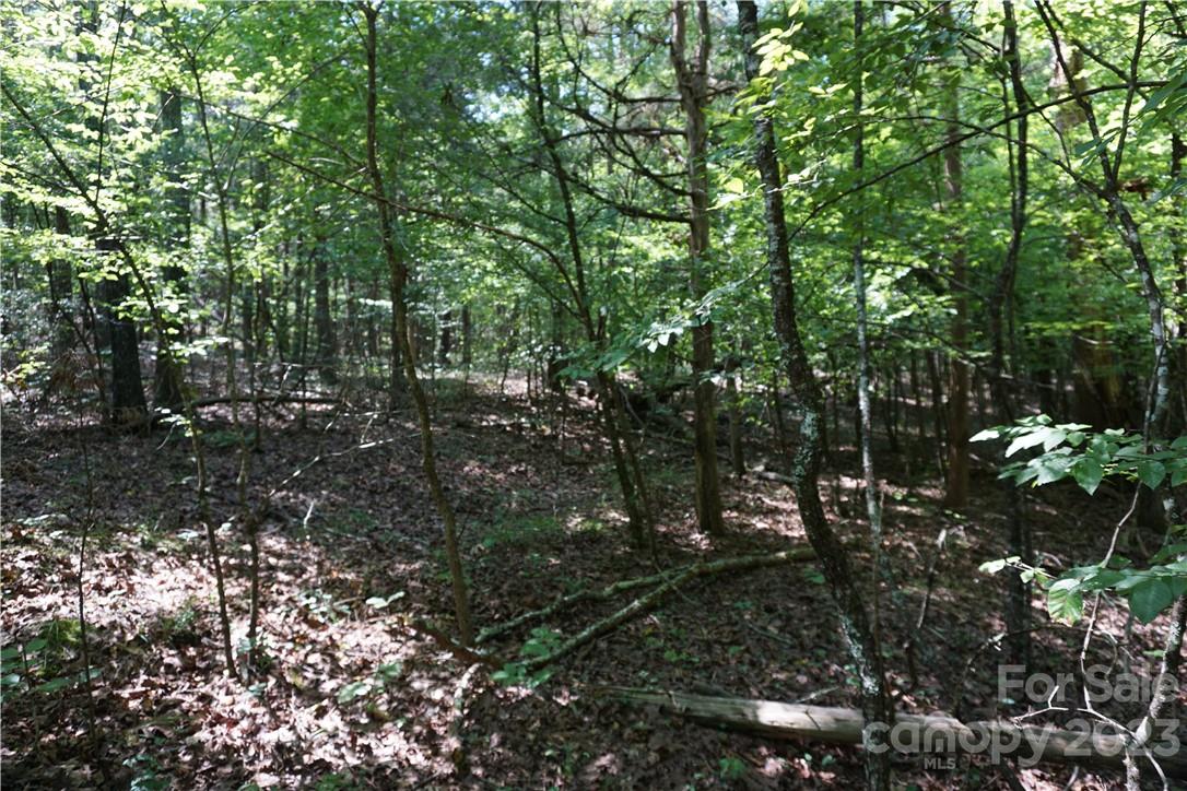 20-ac 20-ac Shillinglaw Road Sharon, SC 29742 - Photo 23 of 28