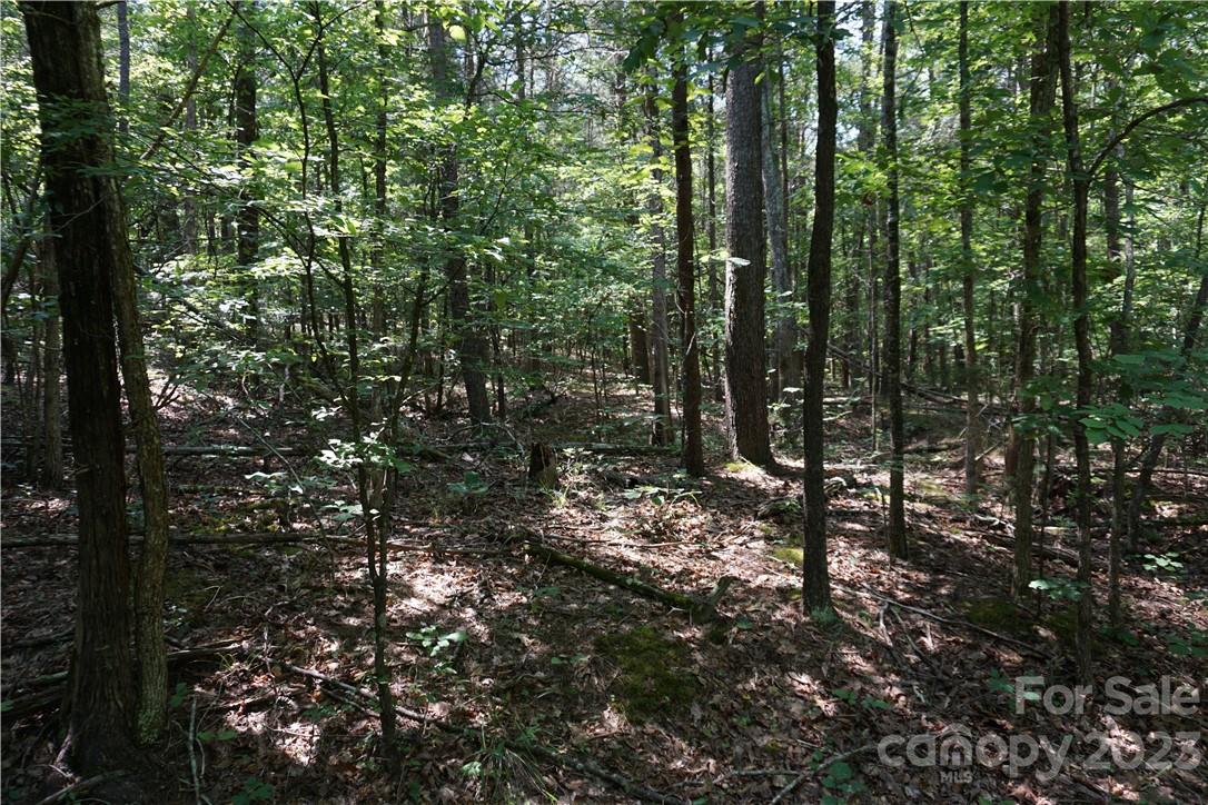20-ac 20-ac Shillinglaw Road Sharon, SC 29742 - Photo 25 of 28 a view of outdoor space and green space