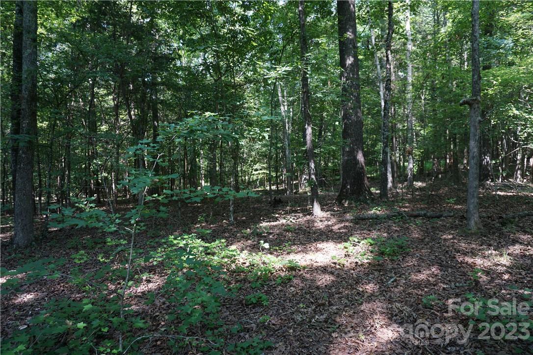 20-ac 20-ac Shillinglaw Road Sharon, SC 29742 - Photo 4 of 28 a backyard of a house with lots of green space