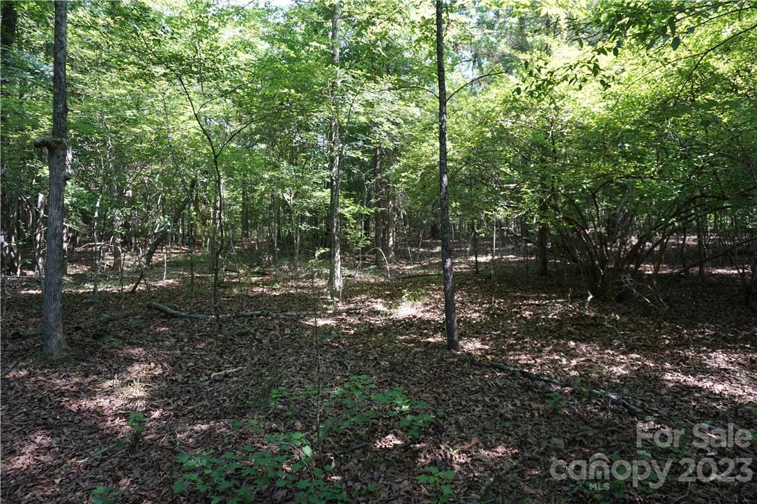 20-ac 20-ac Shillinglaw Road Sharon, SC 29742 - Photo 5 of 28 a view of forest