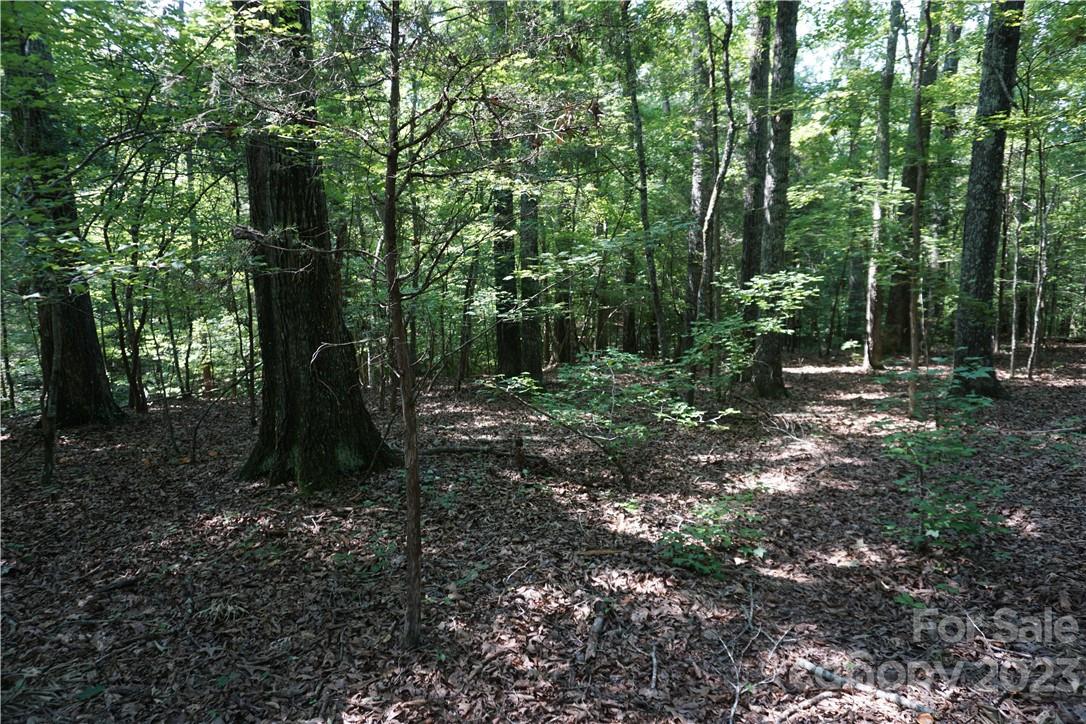 20-ac 20-ac Shillinglaw Road Sharon, SC 29742 - Photo 6 of 28 a view of outdoor space and green space