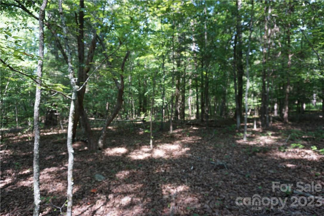 20-ac 20-ac Shillinglaw Road Sharon, SC 29742 - Photo 7 of 28 a view of a forest filled with trees