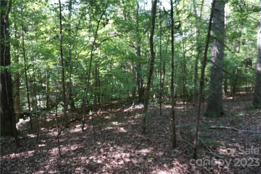 20-ac 20-ac Shillinglaw Road Sharon, SC 29742 - Photo 8 of 28 a view of forest