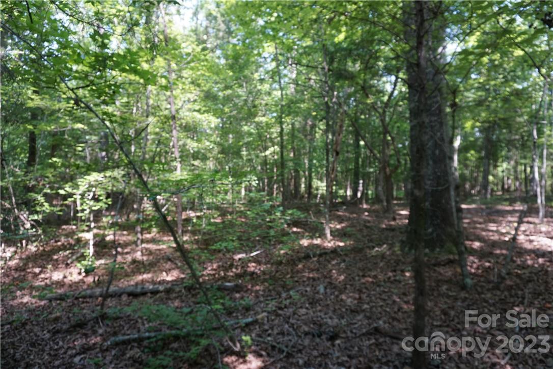 20-ac 20-ac Shillinglaw Road Sharon, SC 29742 - Photo 9 of 28 a view of outdoor space and green space