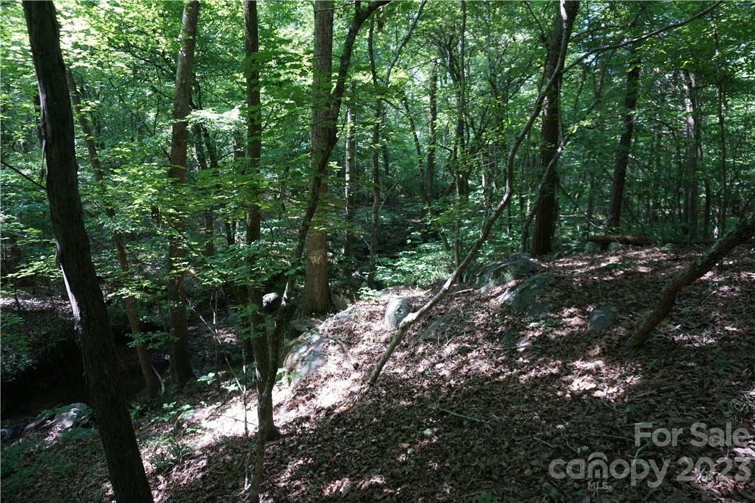 20-ac 20-ac Shillinglaw Road Sharon, SC 29742 - Photo 10 of 28 a view of forest
