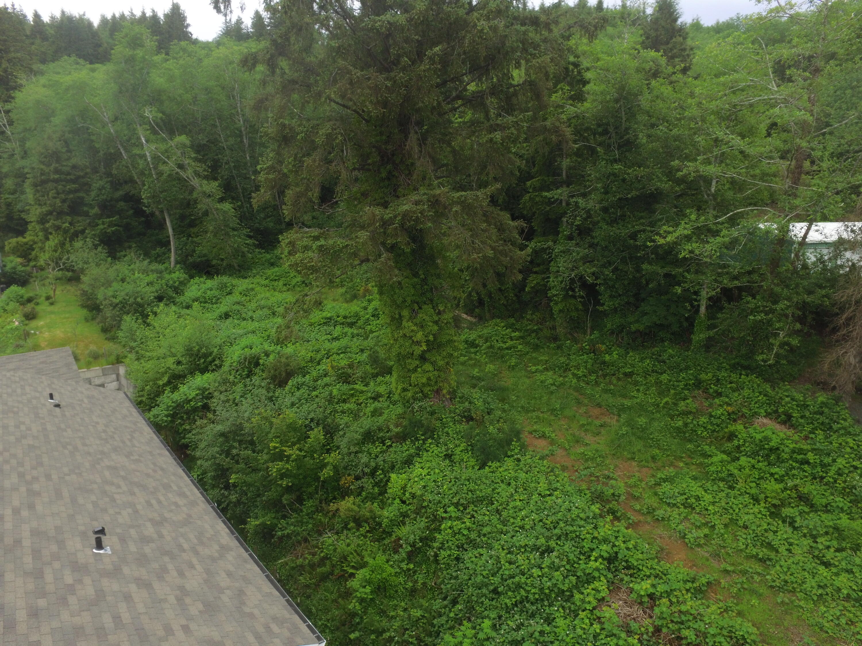 Vl Halverson Lane Garibaldi, OR 97118 - Photo 4 of 19 DJI_0020