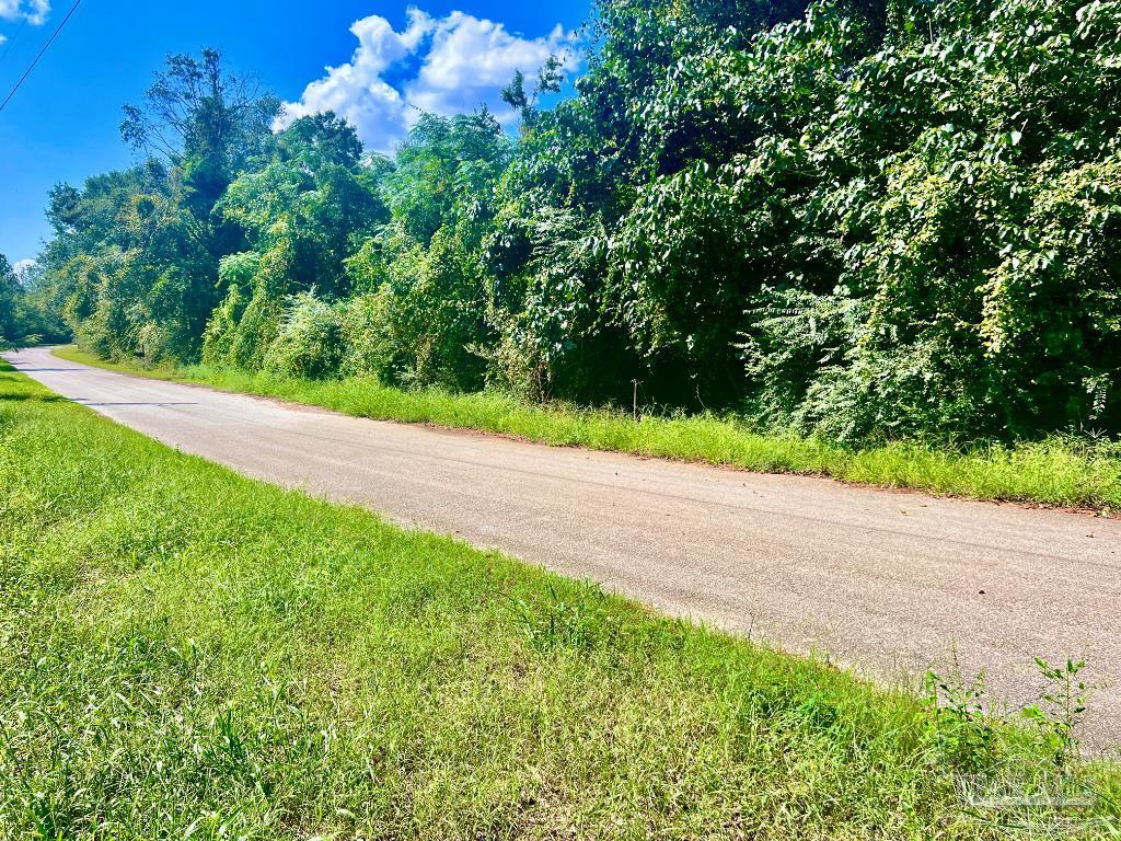 Lot 16 Sid Hayes Road Jay, FL 32565 - Photo 6 of 11 Gallery Image 6