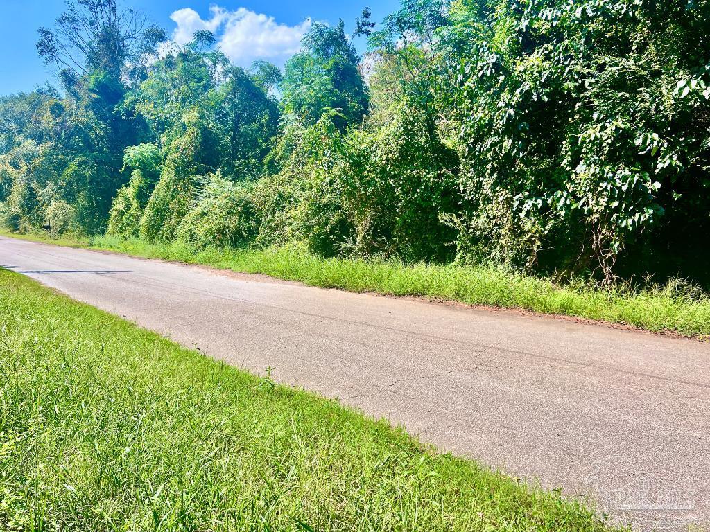 Lot 16 Sid Hayes Road Jay, FL 32565 - Photo 7 of 11 Gallery Image 7