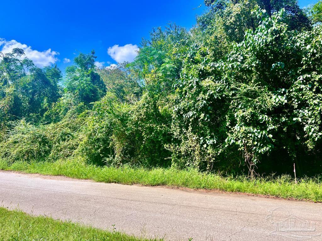 Lot 16 Sid Hayes Road Jay, FL 32565 - Photo 8 of 11 Gallery Image 8