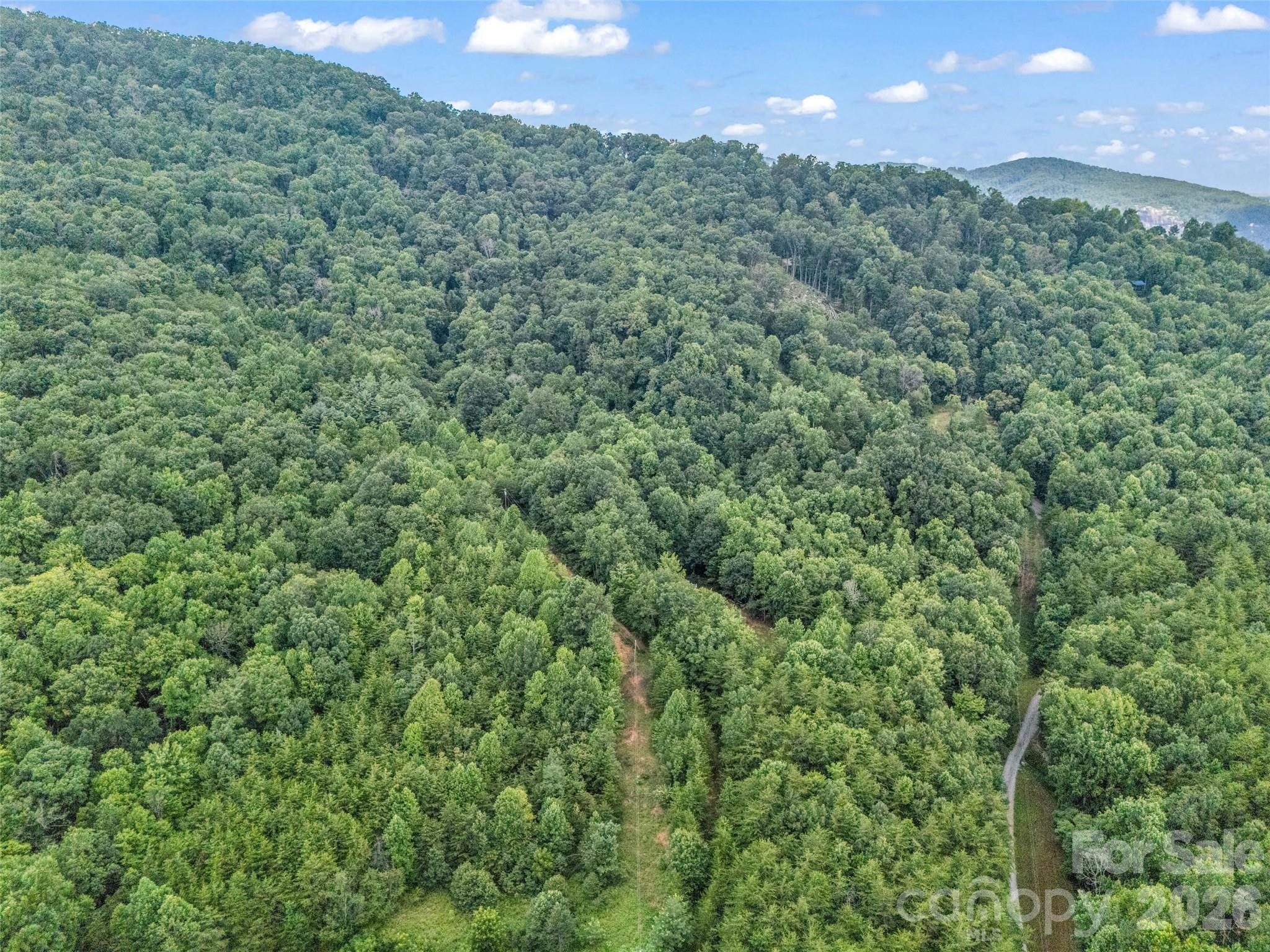 479 Camp Hill Road Mill Spring, NC 28756 - Photo 48 of 48